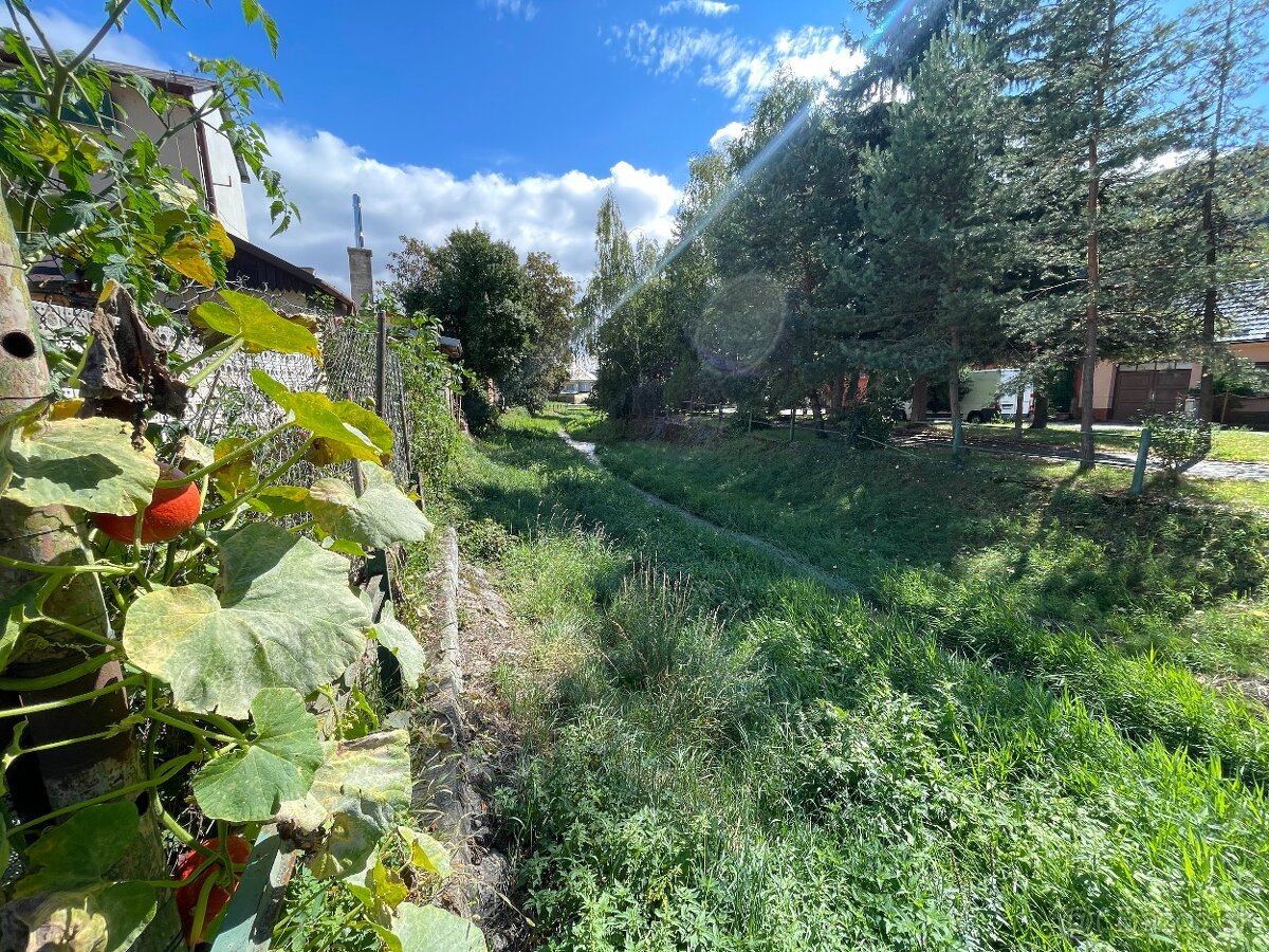 Hostinec u Ričiho na predaj- Bzince pod Javorinou - 10