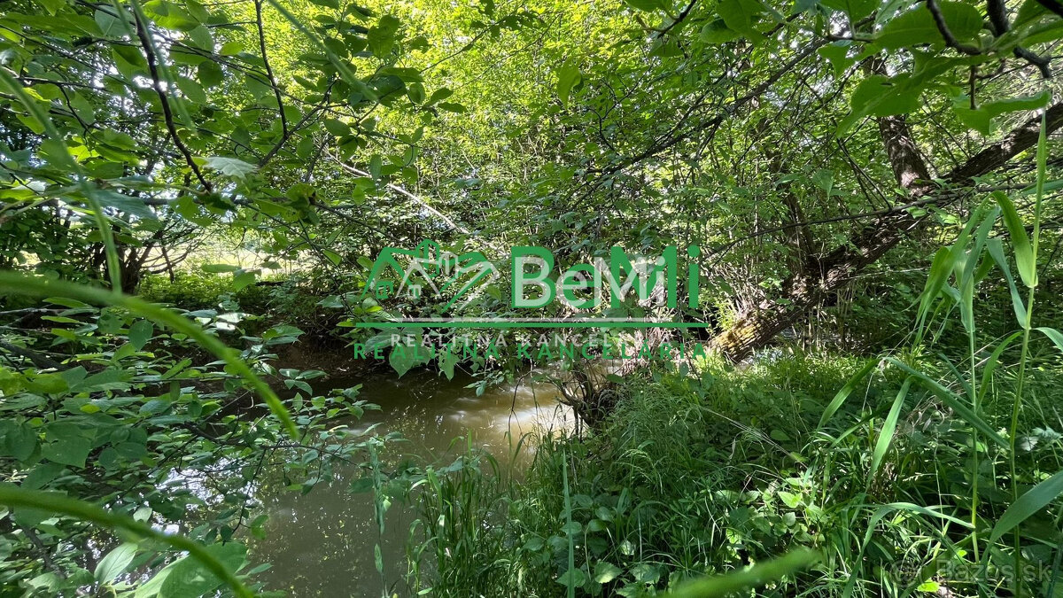 Pozemok 2836 m2, Sása, pod rybníkom, okres Zvolen - 10