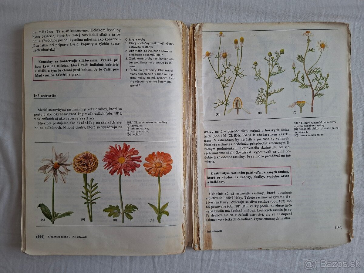 Prírodopis pre 5. ročník ZŠ (1988) - 10