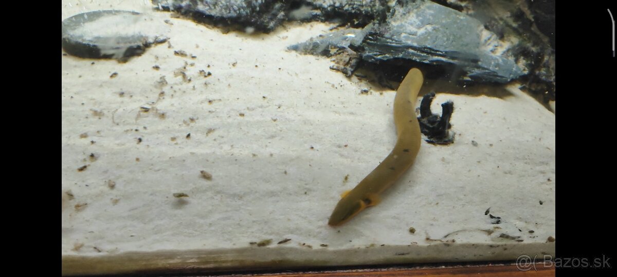 Ruším akvarium - 10