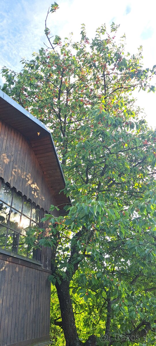 Chata so záhradou na prenájom - 10