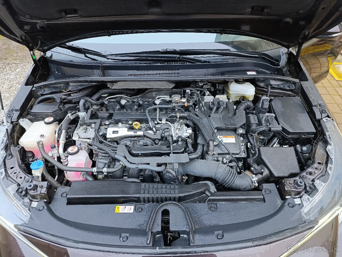 Toyota Corolla TS Trek - 10