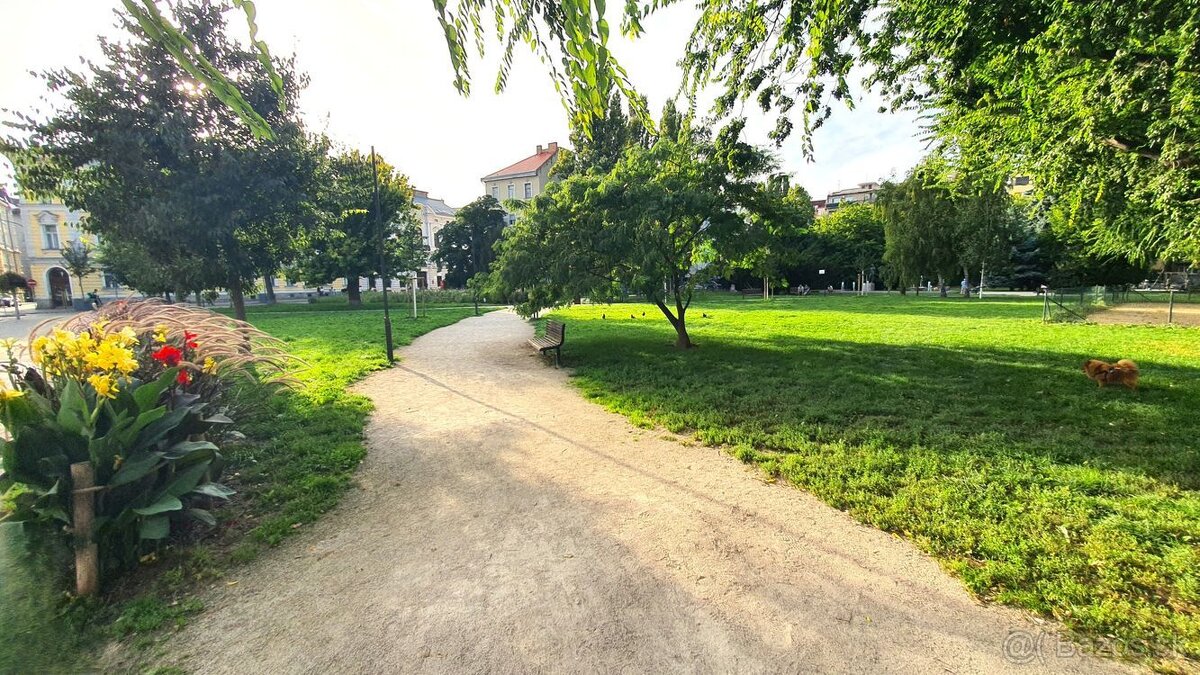 Exkluzívny 4-izbový byt v secesnom dome s výťahom – Šafáriko - 10