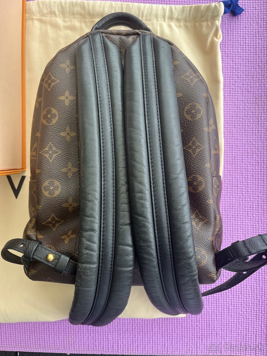 Louis Vuitton Palm Springs PM Backpack - 10