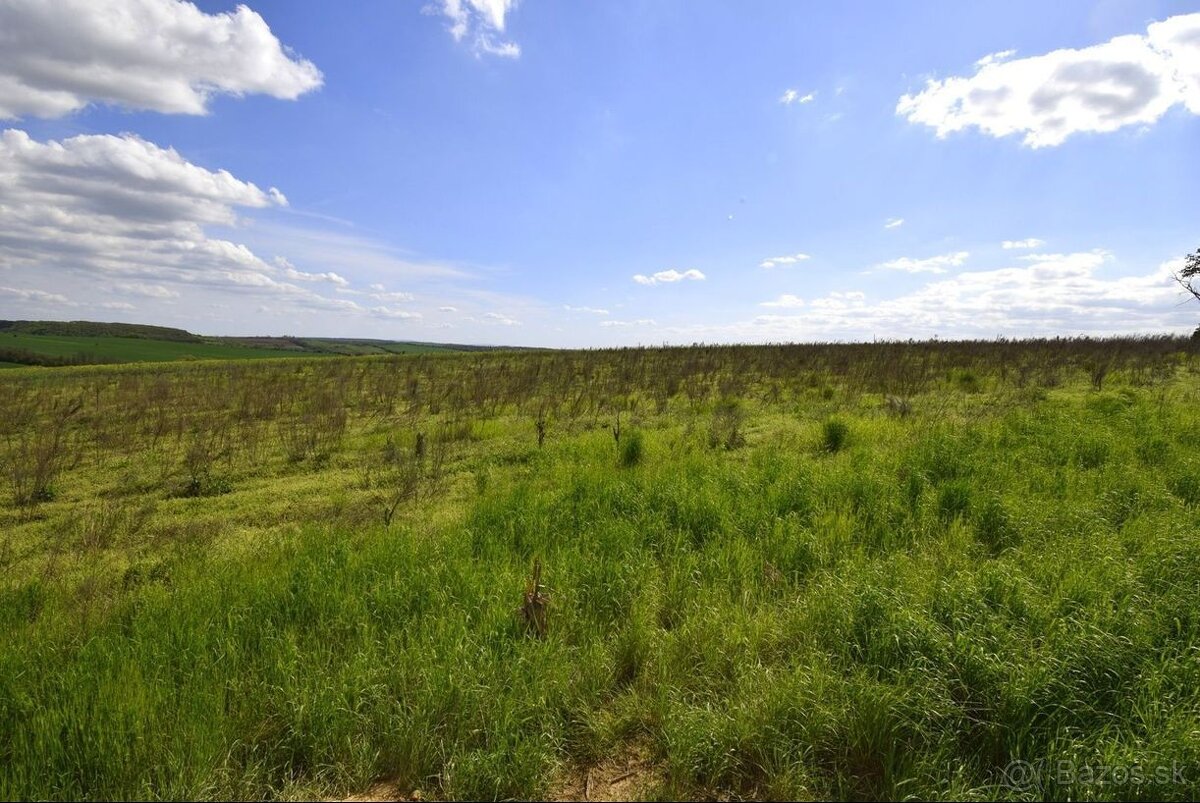 Ideálne pozemky pre rodinné domy – Kolta - 10