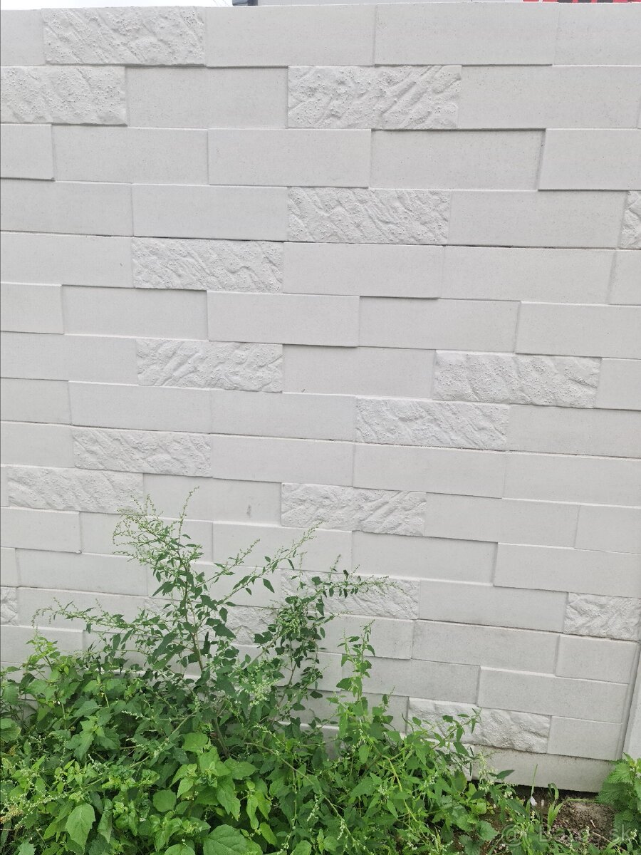 Podhrabová doska, Betónový plot - VÝCHOD POZOR - 10