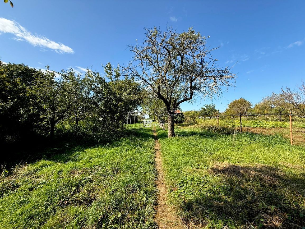 Na predaj rodinný dom s veľkým pozemkom – Obec Paňa (okres N - 10