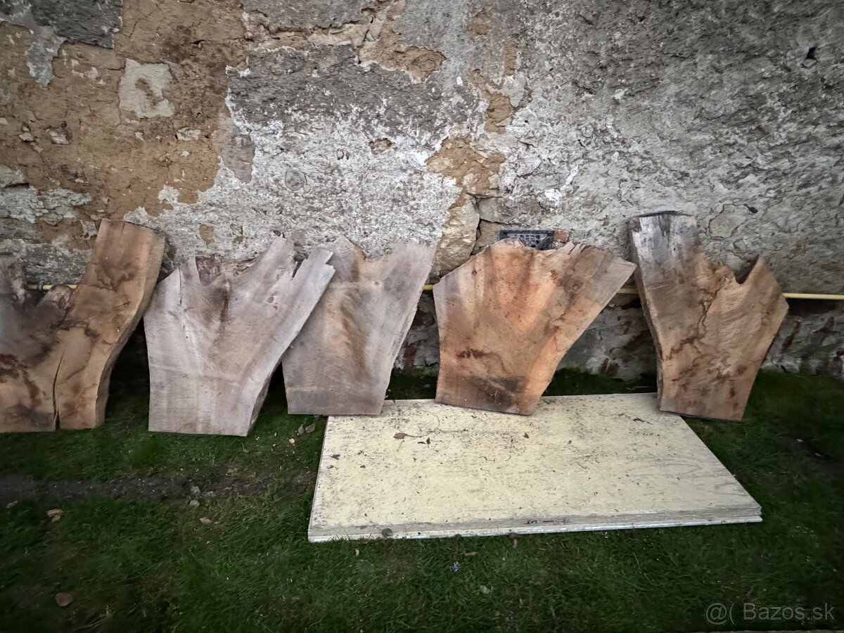 Orechove rezivo - 10