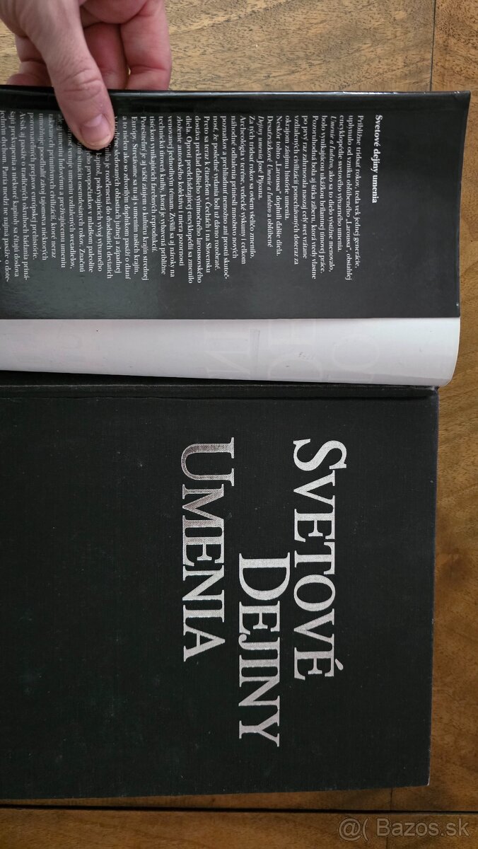 Svetové dejiny umenia – Larousse (kompletné vydanie) - 10