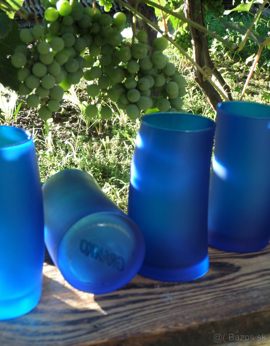 Modré misky, modré poháre - 10