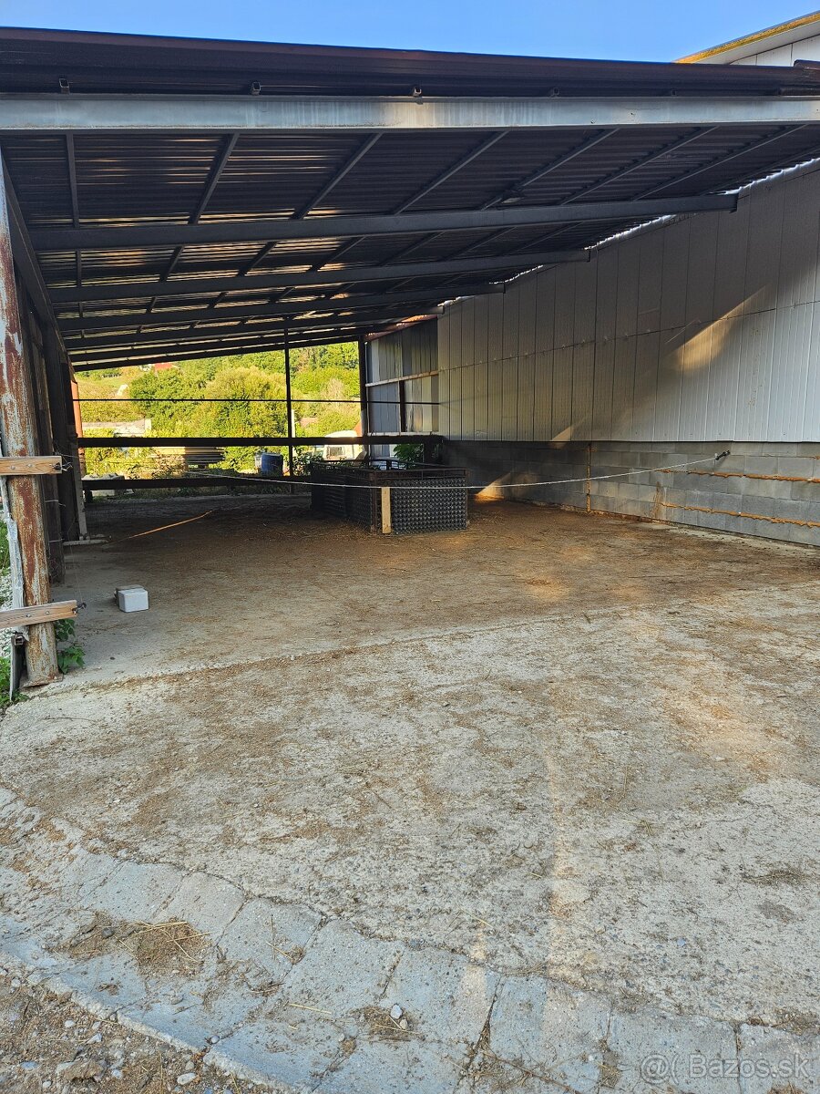 ustajnenie koni, vychadzky vodenie pre deti - 10