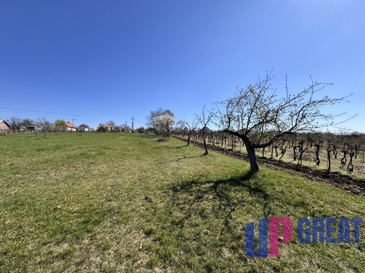 Pozemok s nádherným výhľadom na Skalicu–vinohrad so sklepom - 10
