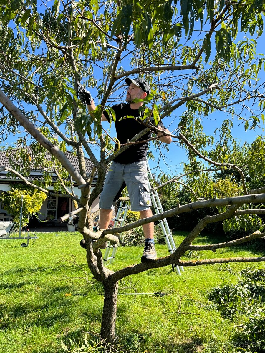 🌿 Profesionálne zimné záhradnícke služby🌿 Záhradník - 10