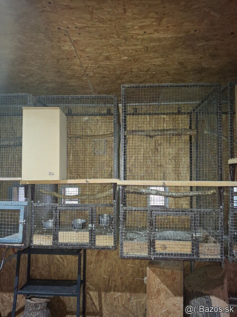 Klietkt/voliery - 10