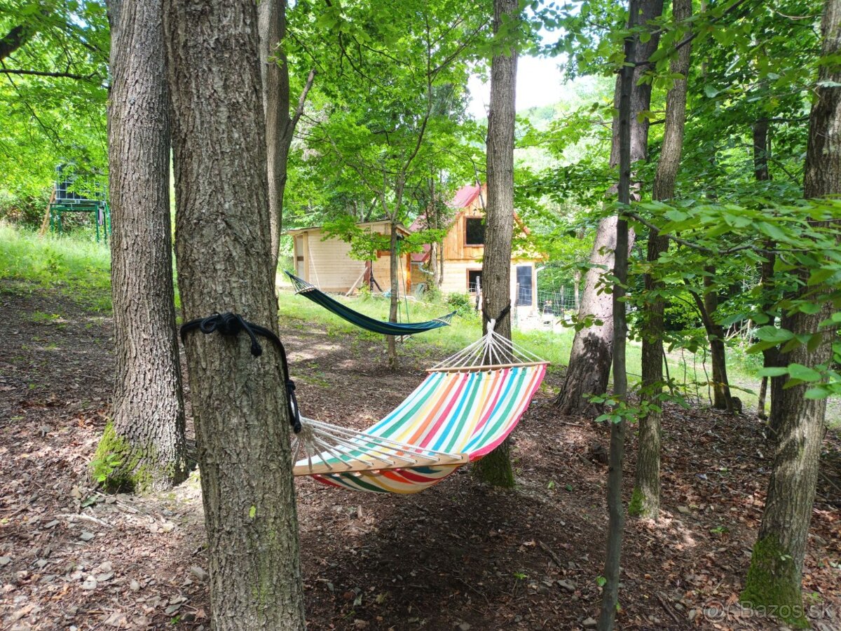 Chalúpka v lese - 10