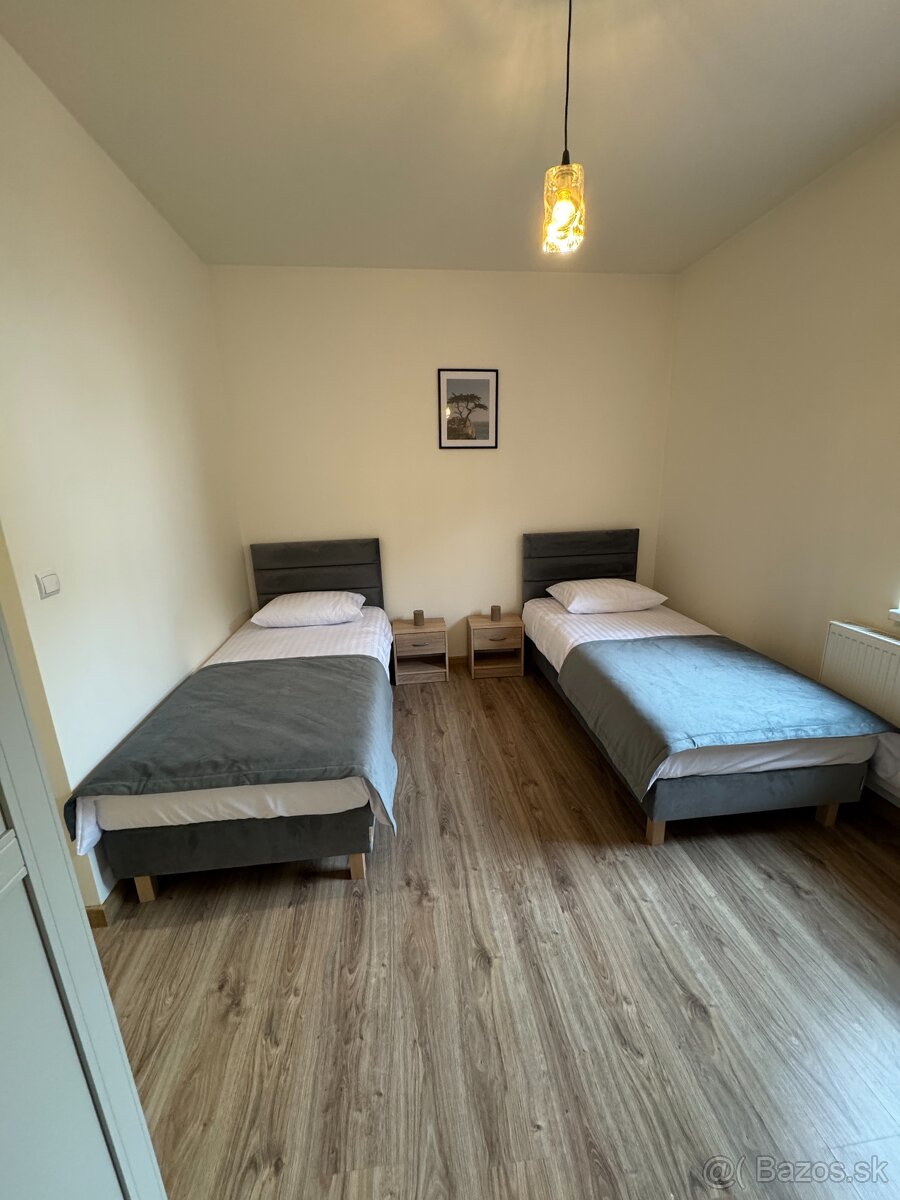 Ubytovanie Penzion Vitaneo - 10