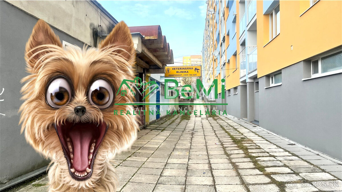 Odstúpenie - salónik - strihanie psíkov Sásová,Banská Bystri - 10