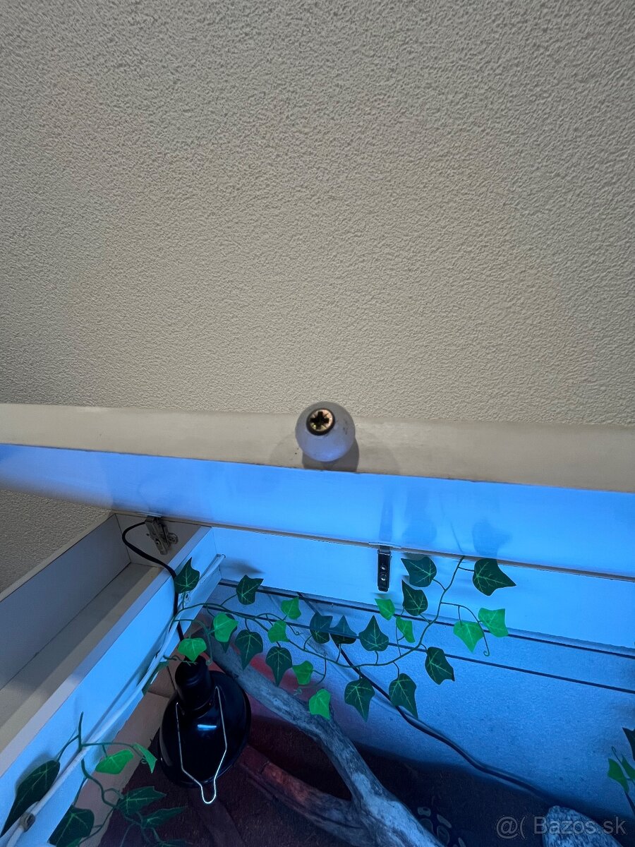 Ručne robená teraristická zostava / Terárium - 10