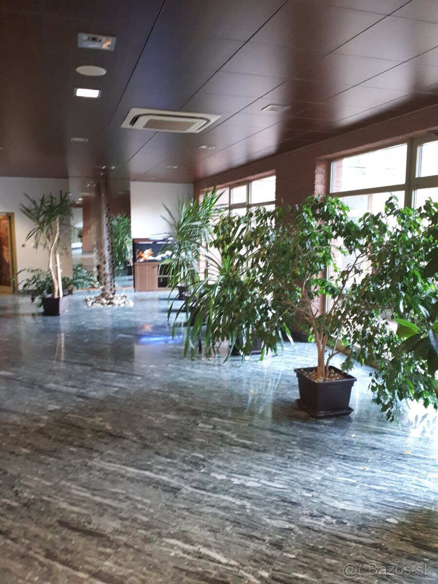 3 izbový byt v Petržalka, Bosákova (82m2) - 10