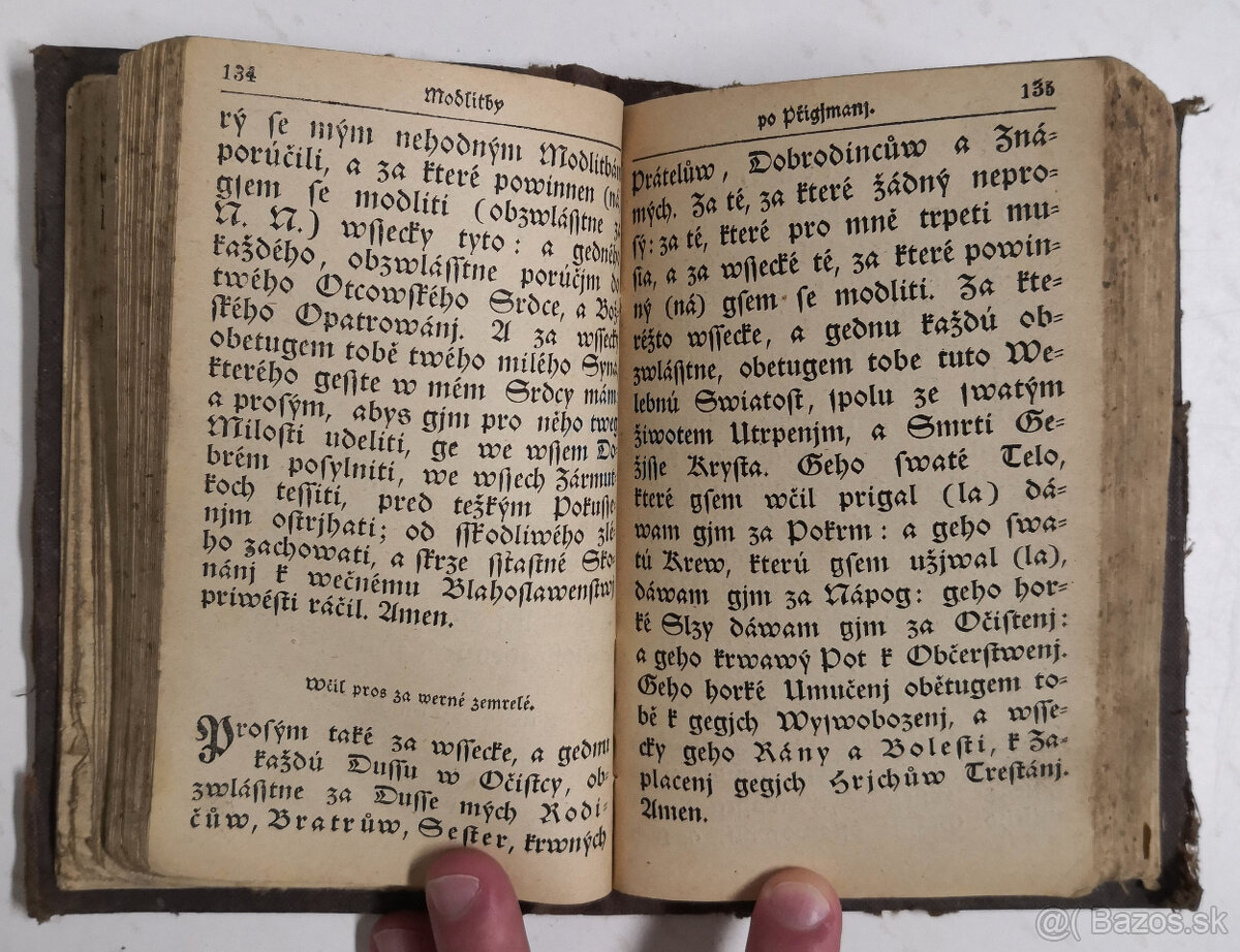 Stepná zahradka 1850 - 10