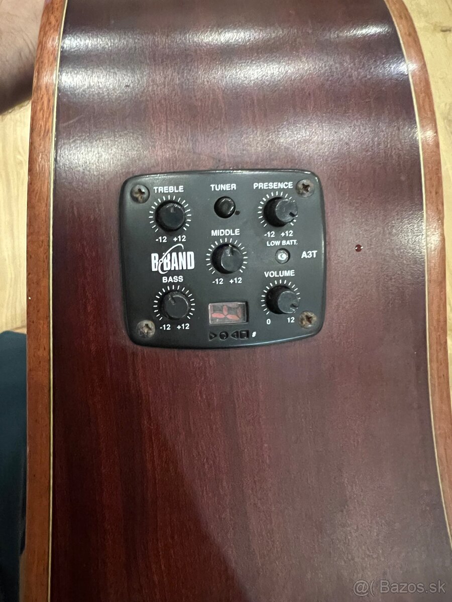 Elektroakustická gitara Pasadena - Znížená cena - 10