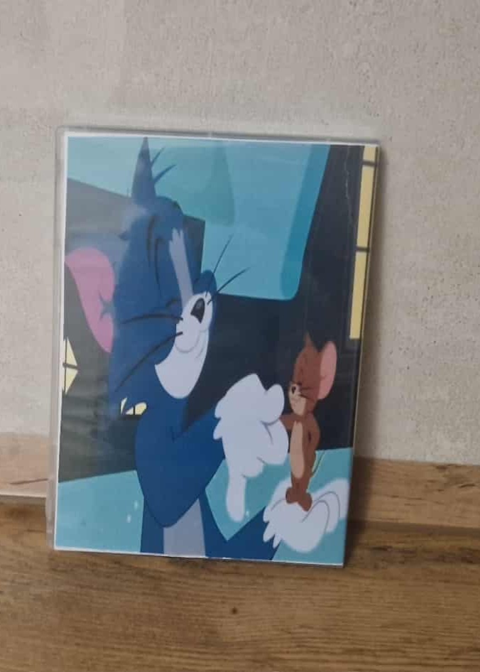 DVD rozprávky - TOM A JERRY - 10