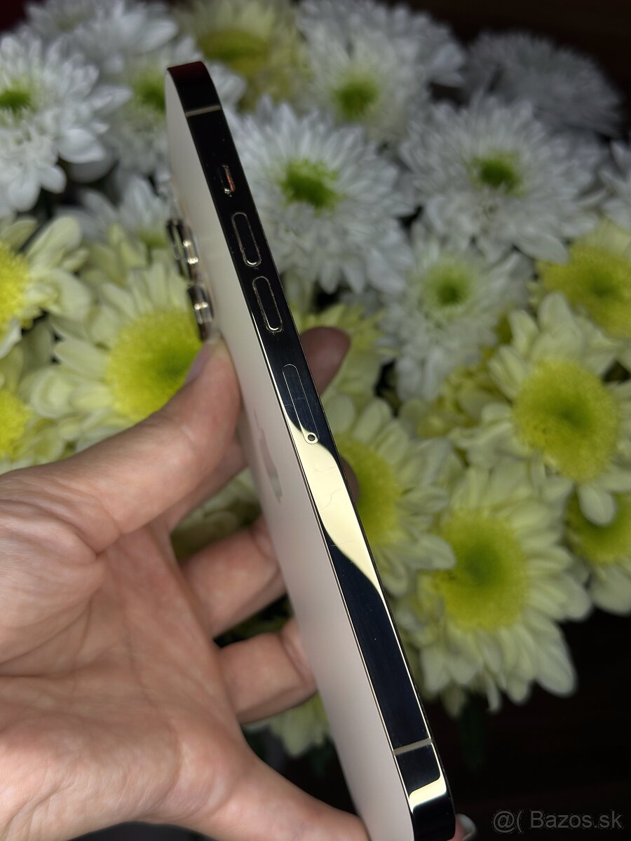 Iphone 13 Pro Max 128gb - 10