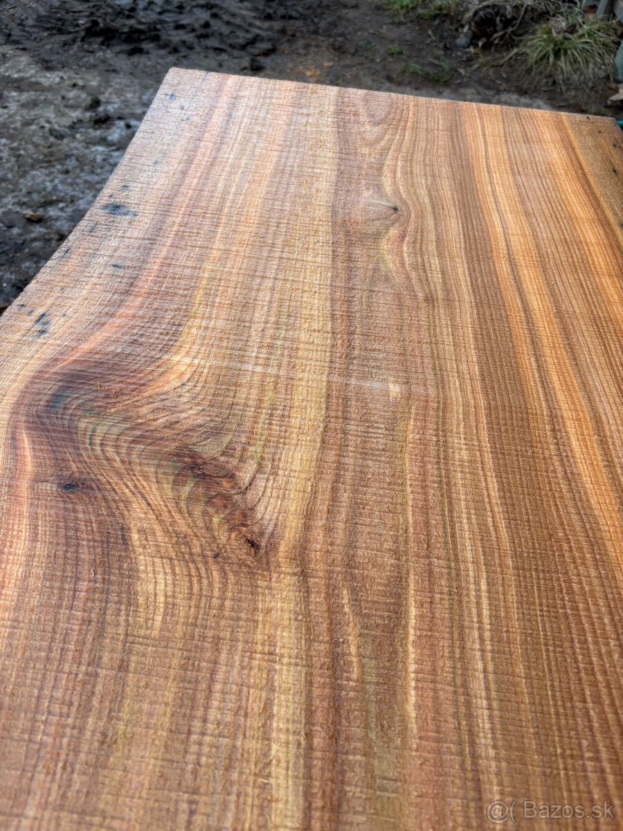 Rezivo Brest Brestove Fošne Kmene Drevo - 10