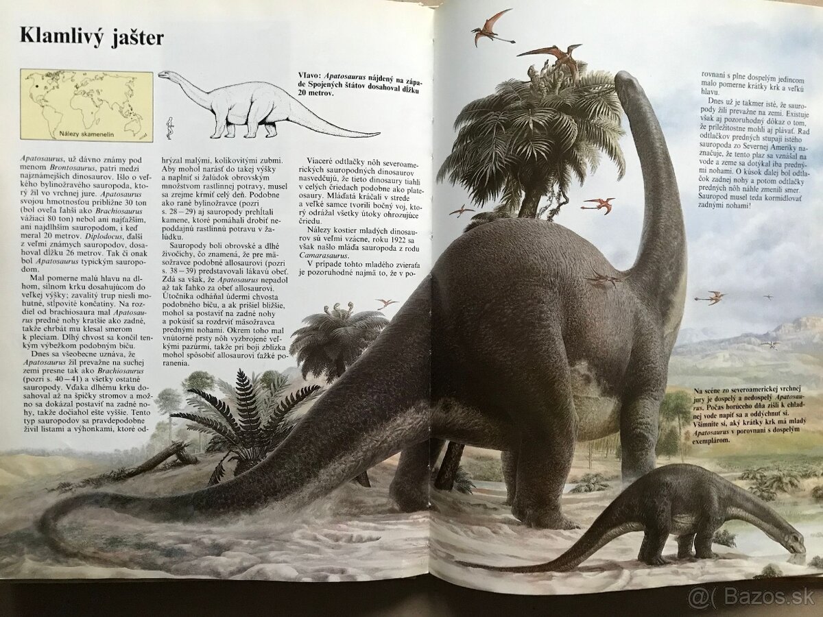 Emily z Nového mesiaca, Biblické príbehy pre deti, Rúfus - 10