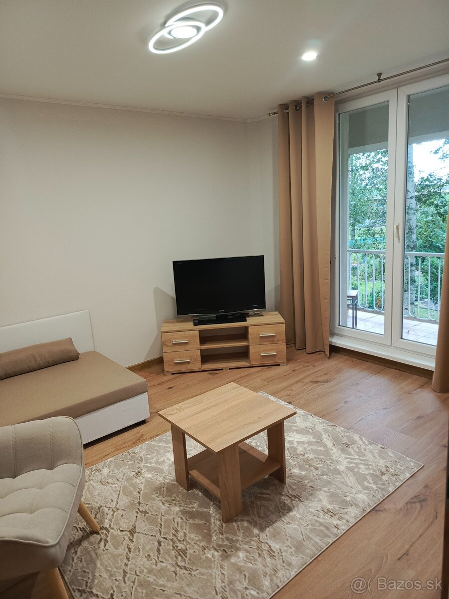 1 iz.byt na prenajom - 10