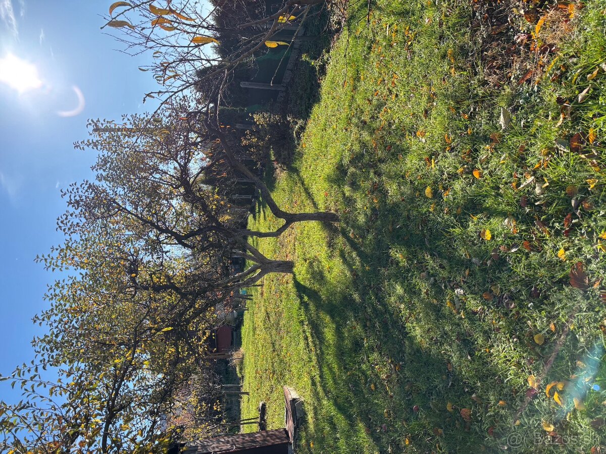 Stavebný pozemok s malou chatkou - 10