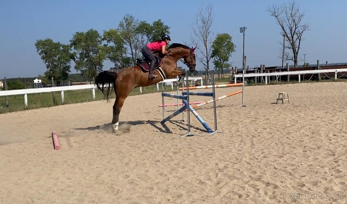 Ponúkame ustajnenie - 10