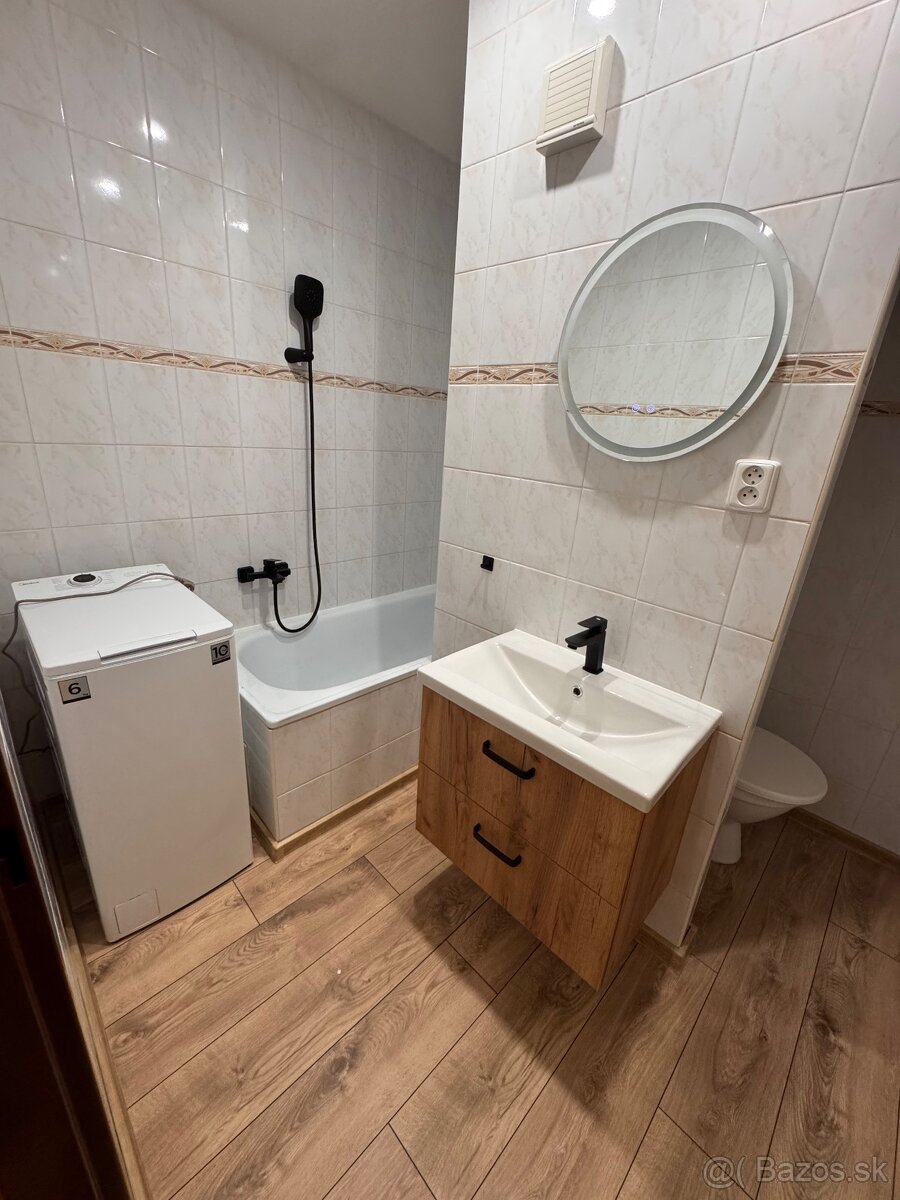 Veľký 1 izbový byt Podbreziny - 10