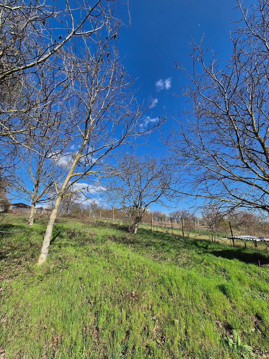 Pozemok na predaj_Staré Predné Levice_1000m2 - 10