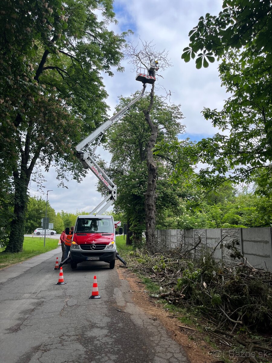 Arboristika, záhradnícke práce - 10