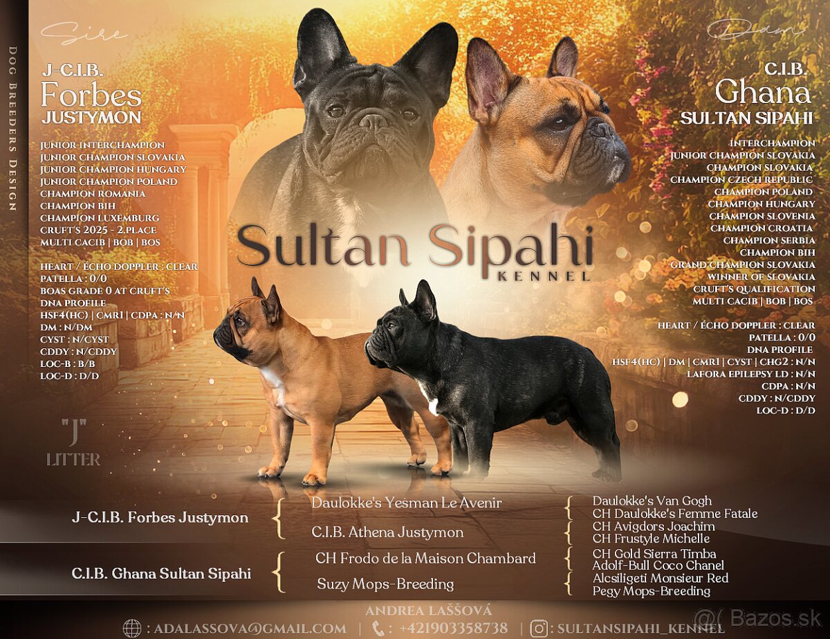 Francúzsky buldoček s PP, FCI - 10