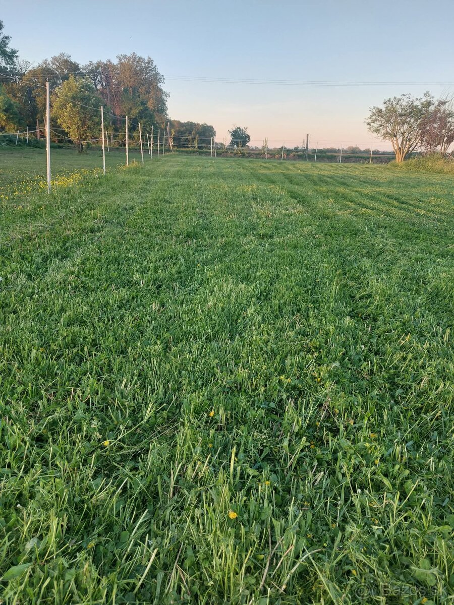 Ustajnenie Cifer TT - 10