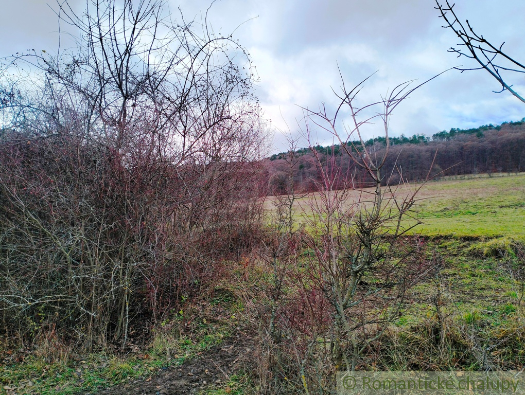 Väčší pozemok s možnosťou výstavby rekreačnej nehnuteľnos - 10