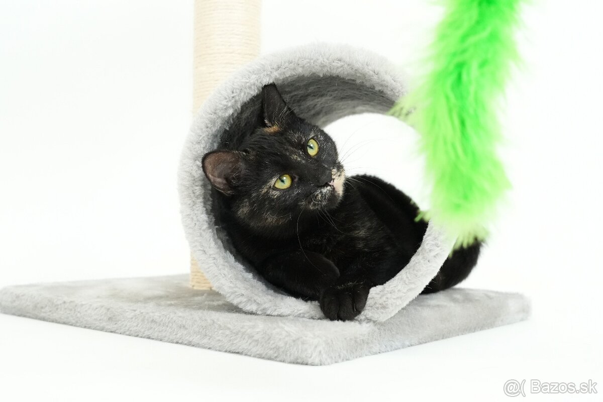 Malá mačička AGÁTKA hľadá domov - 10