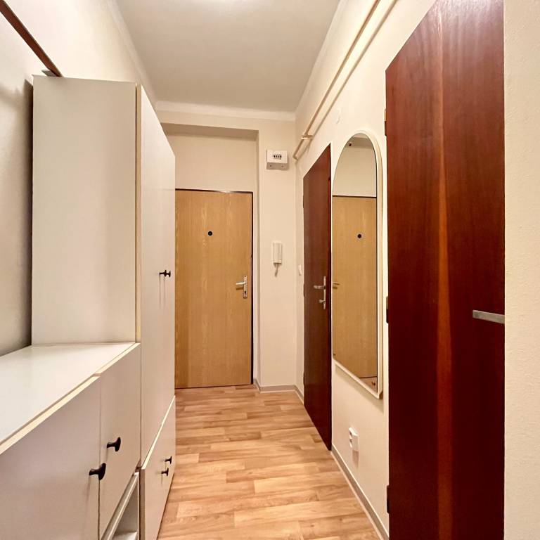 PRENÁJOM 1-izbový byt priamo v srdci Bratislavy - 10