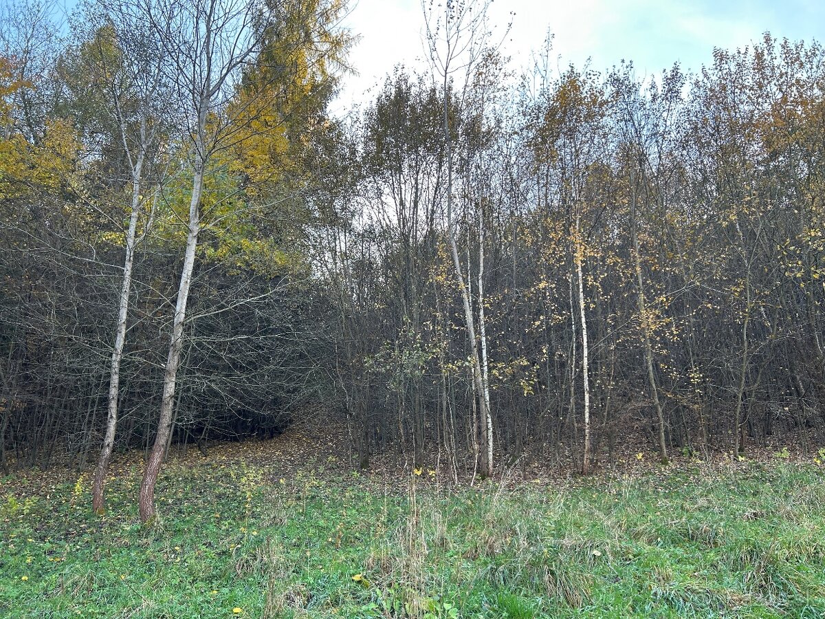 Predám pozemok 7802m2 - 10