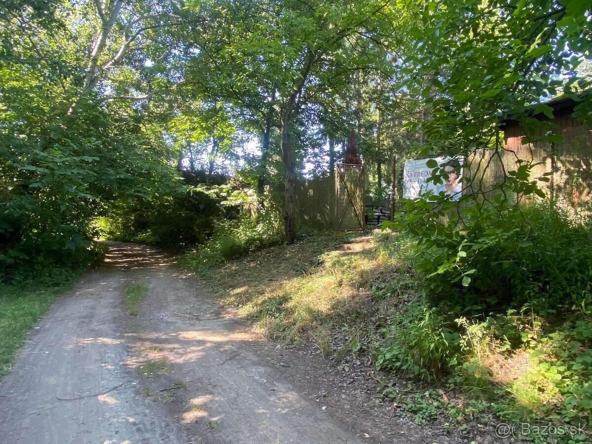 Záhrada pri lese – úplné súkromie, 530 m², 56 €/m2 SEREĎ - 10