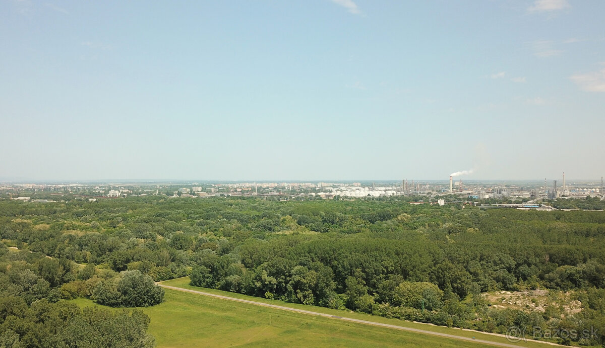 Dji Mavic Pro Platinum - 10