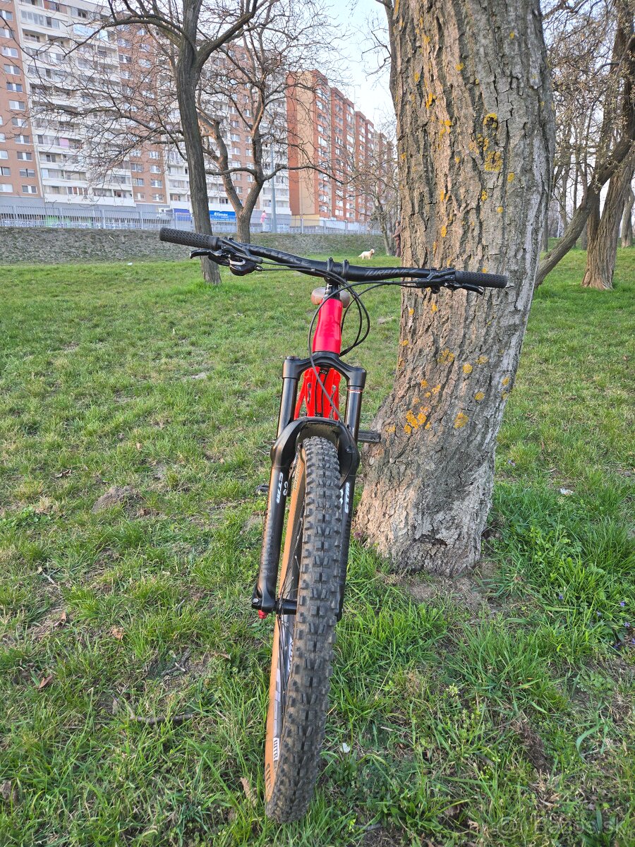 CTM Scroll Expert 2019 - 10