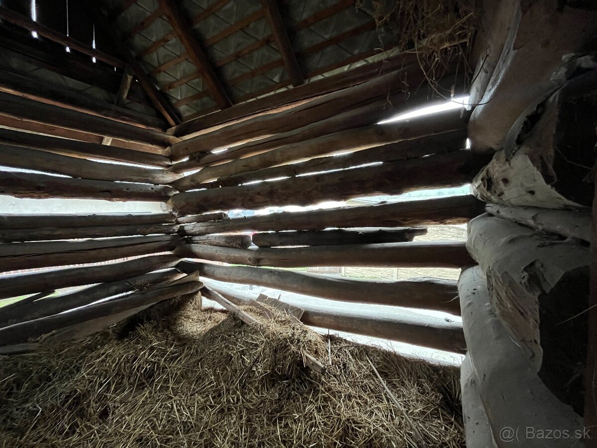 Stare drevo na predaj - 10