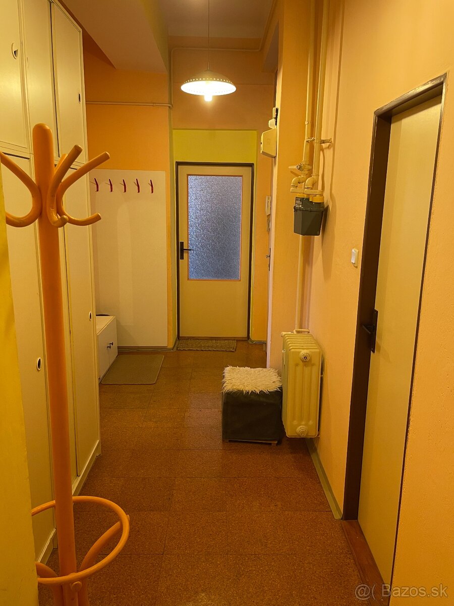 Prenajom velkeho 2 izboveho bytu Zilina centrum - 10