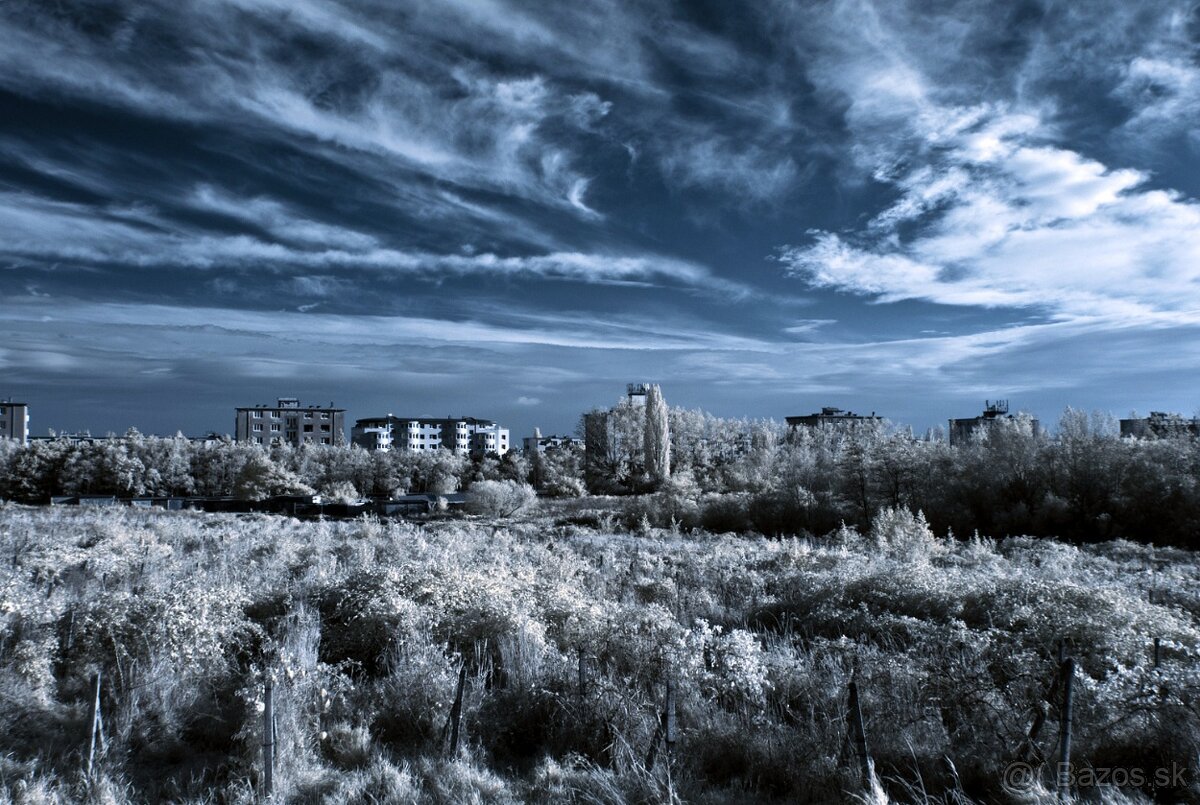 Olympus E-M1 - po IR konverzii 720 nm - 10