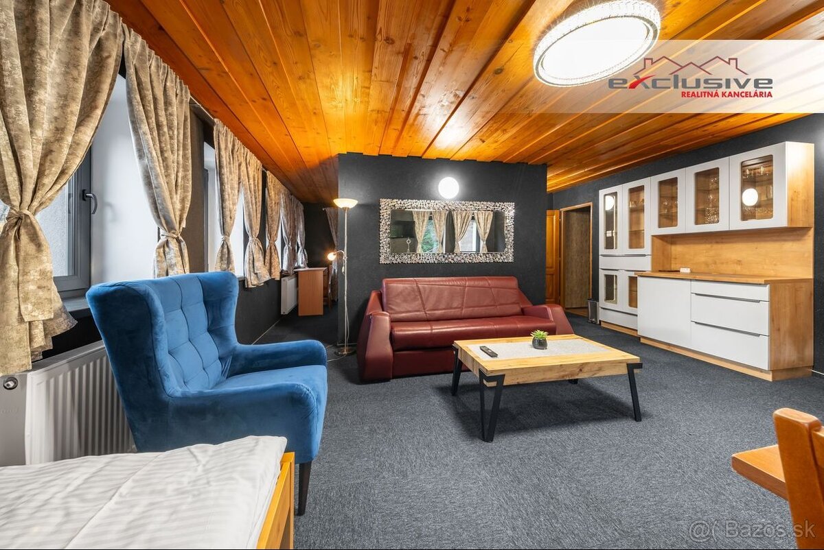 VILLA ALPINA - DRIENICA, 555 M2 - KOMPLETNÁ REKONŠTRUKCIA - 10