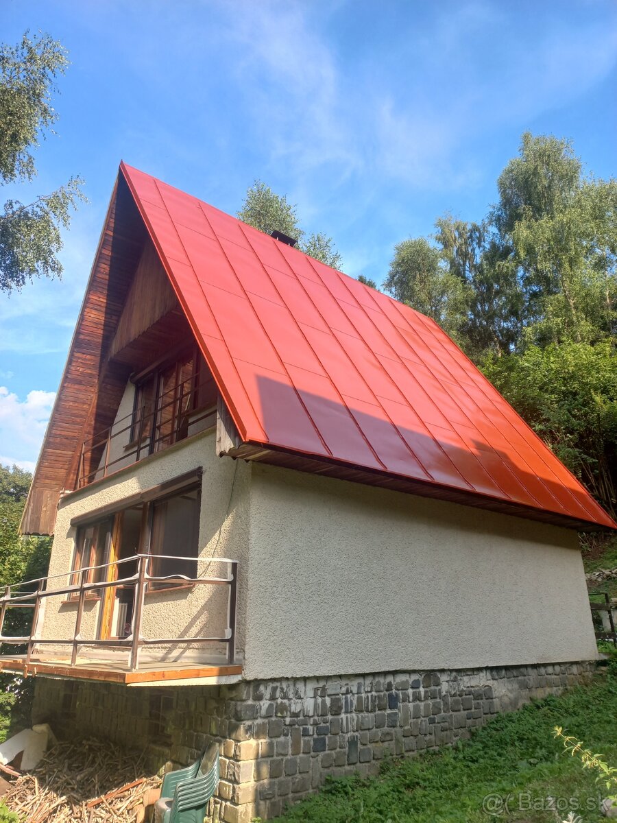 ✅️✅️✅️Nátery striech natieranie maľovanie N_11 - 10