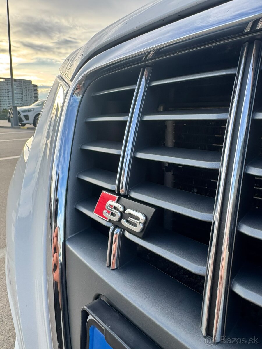 Audi S3 8P 2.0TFSi 195kw - 10